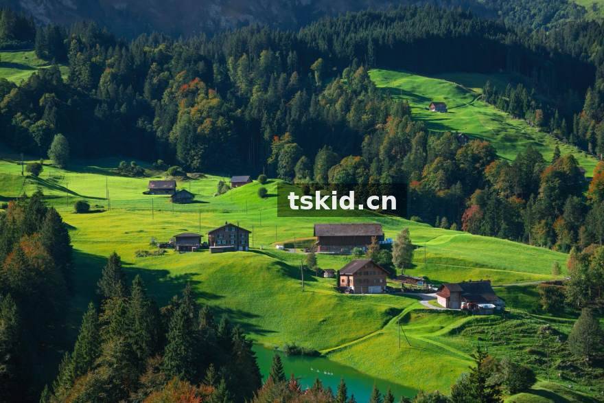 拆解S16英雄联盟总决赛经济曲线：观赛时该盯哪几条线